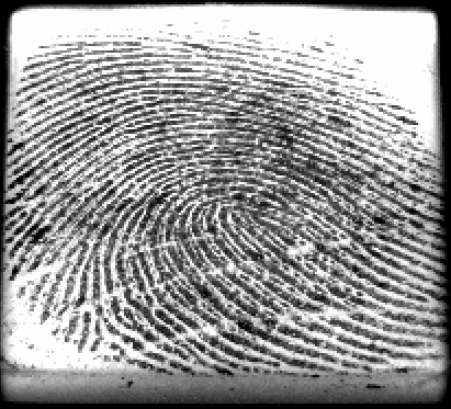 Fingerprint Preview
